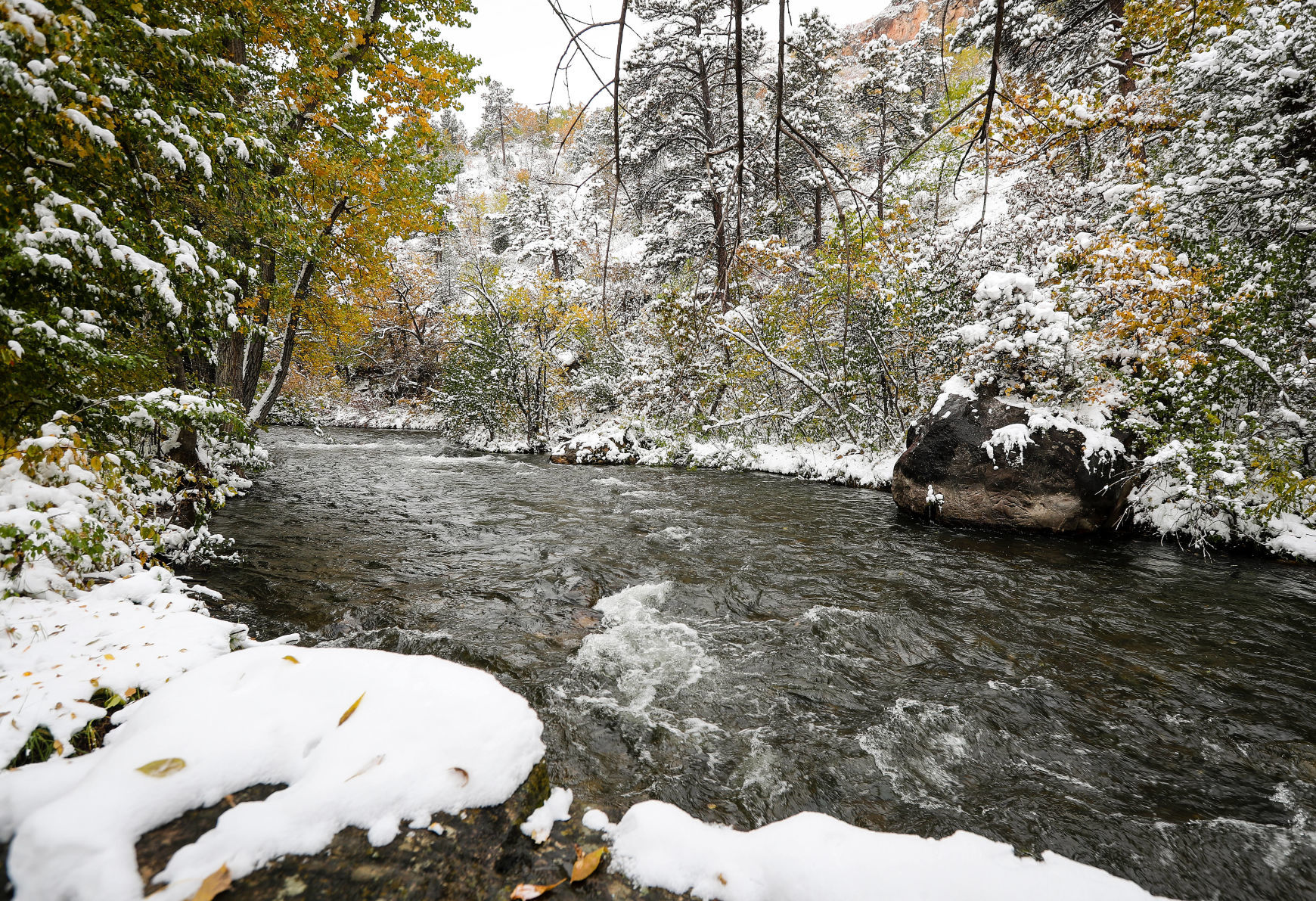First Snowfall of the Winter